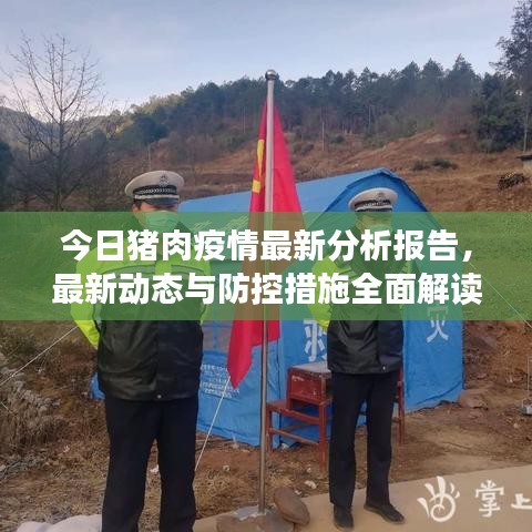 今日豬肉疫情最新分析報(bào)告，最新動(dòng)態(tài)與防控措施全面解讀