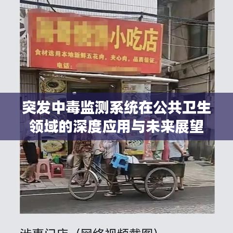 突發(fā)中毒監(jiān)測系統(tǒng)在公共衛(wèi)生領(lǐng)域的深度應(yīng)用與未來展望
