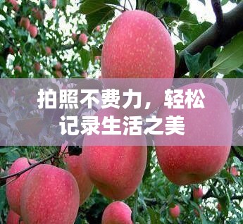 拍照不費(fèi)力，輕松記錄生活之美