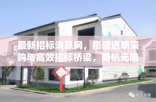 最新招標(biāo)消息網(wǎng)，搭建透明采購與高效招標(biāo)橋梁，商機(jī)無限！