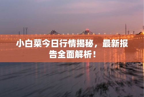 小白菜今日行情揭秘，最新報(bào)告全面解析！