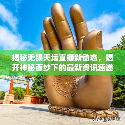 揭秘?zé)o錫天壇直播新動(dòng)態(tài)，揭開神秘面紗下的最新資訊速遞