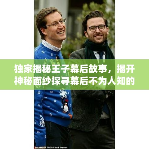 獨(dú)家揭秘王子幕后故事，揭開(kāi)神秘面紗探尋幕后不為人知的秘密