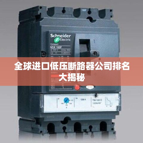 全球進口低壓斷路器公司排名大揭秘