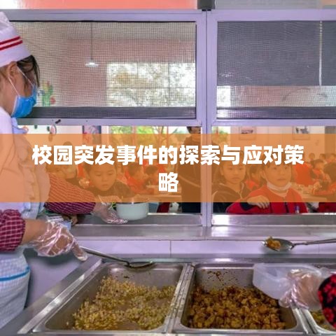 校園突發(fā)事件的探索與應(yīng)對(duì)策略