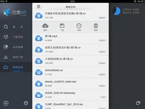 手機迅雷最好用的版本,標準化流程評估_超值版_v8.980