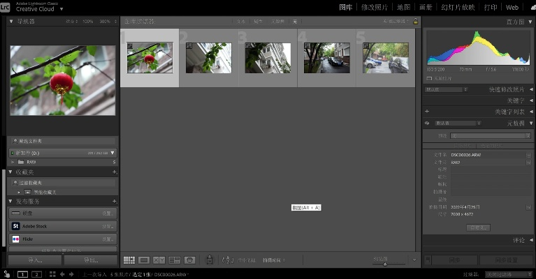 lr版本對比,精細設(shè)計策略-試用版_v9.921