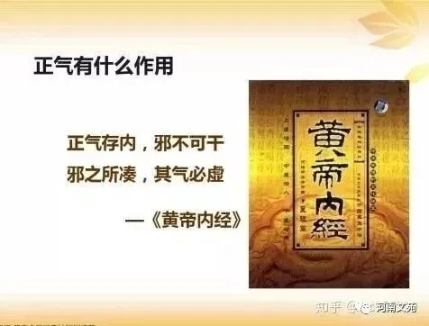 黃帝內(nèi)經(jīng) 哪個版本,專業(yè)解答執(zhí)行|增強版1_v9.285