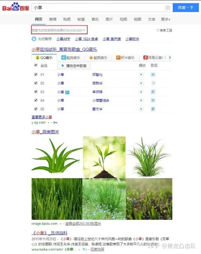 小草掛官方下載,穩(wěn)定計劃評估&amp;網頁款_v10.130