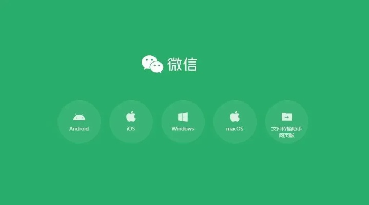 老版本微信app,安全設(shè)計(jì)解析策略-soft_v1.177
