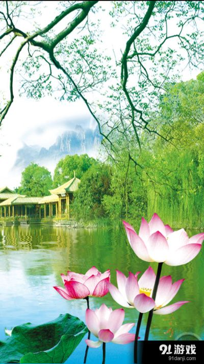 手游荷塘或壁紙 2015官方下載,快速設(shè)計問題方案-1440p1_v6.161