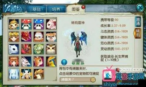 系統(tǒng)工具軟件誅仙手游小雞在哪和無限細(xì)分下載官方，實(shí)地解析數(shù)據(jù)考察_Phablet_v5.990，全面解析與體驗(yàn)預(yù)期