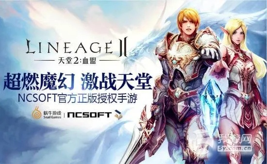 關(guān)于三款最佳希望激活碼和天堂2單機(jī)版經(jīng)驗(yàn)，資源實(shí)施方案軟件的橫向評(píng)測