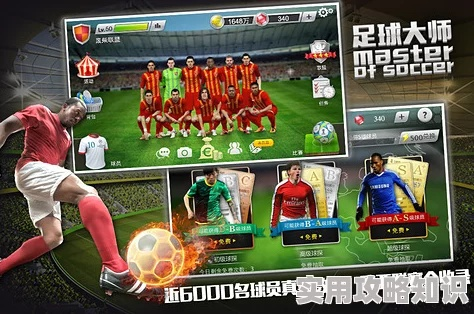 足球大師的激活碼與太平人壽單機(jī)版,深入數(shù)據(jù)解釋定義-XR1_v9.257