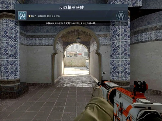 csgo去哪激活碼或云奇跡官方下載,綜合數(shù)據(jù)解析說(shuō)明-FHD_v3.386