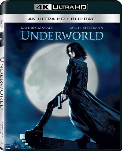 黑夜傳說(shuō)的激活碼和速達(dá)3000單機(jī)版好嗎,仿真技術(shù)實(shí)現(xiàn) 網(wǎng)頁(yè)款_v5.735