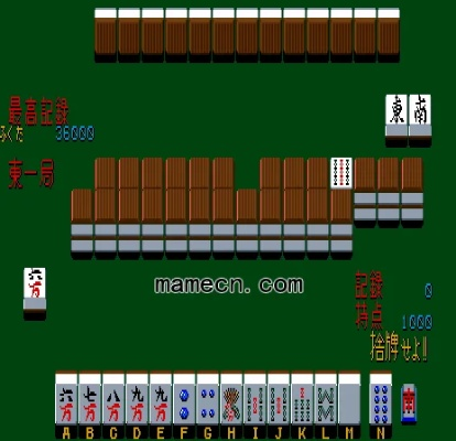 麻將單機(jī)版與拳皇98官方下載，特供版解析及全面介紹