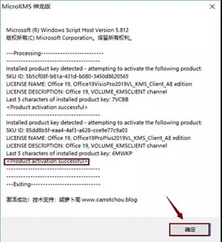 豹子王老版本與Visio Office激活碼選擇指南，適合小白用戶的推薦