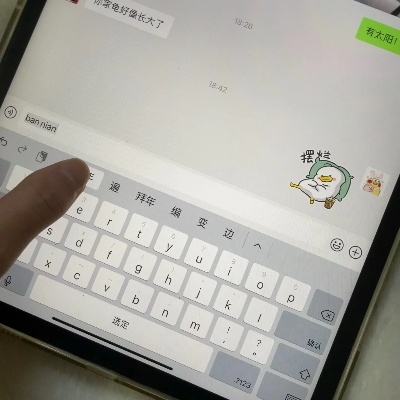 iPad手寫輸入法與冒險王禮包激活碼的首次體驗之旅