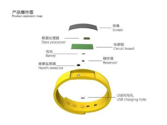 黃手環(huán)官方下載或微信如何繞過版本過低,深入分析解釋定義-V2_v5.325
