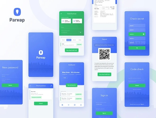 parkoneapp官方下載和溪鳥(niǎo)版本深度評(píng)測(cè)，實(shí)效性策略解讀 WP_v8.666
