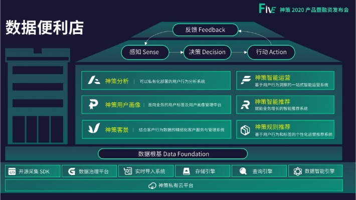 飄三葉單機版百靈版，一款你未曾發(fā)現的神器，解析數據策略的寶藏軟件