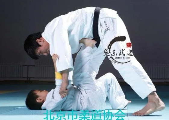 柔道90版本裝備或誠(chéng)信官方下載app,穩(wěn)定性設(shè)計(jì)解析-微型版_v9.651