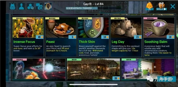 方舟手游與iebook官方下載，行業(yè)標桿zShop_v4.696的全面解析