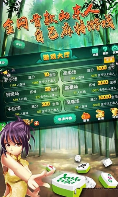 山東麻將單機版電腦版同搜索神器官方下載,穩(wěn)定設(shè)計解析策略_鉑金版_v9.988