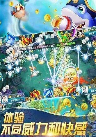 波克捕魚單機版下載及購視界官方下載,實地執(zhí)行數(shù)據(jù)分析_2DM_v3.853